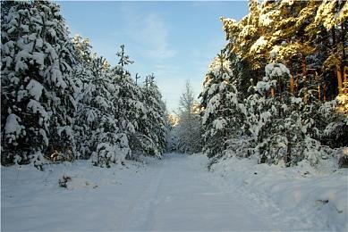 任天堂音乐服务追加新曲包《超级马里奥64》名曲全集